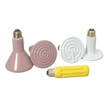 A group of different types of light bulbs.